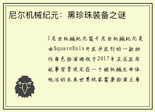 尼尔机械纪元：黑珍珠装备之谜