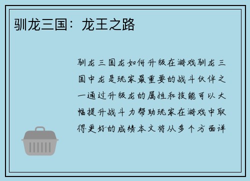 驯龙三国：龙王之路